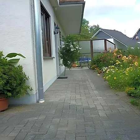 Im Sauerland Hillside 哈伦贝格