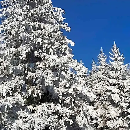 Im Sauerland Hillside 4*