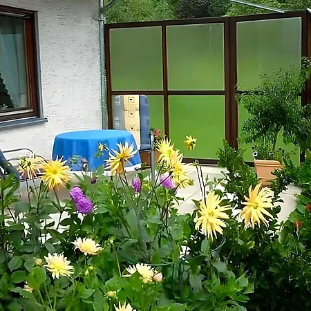 Im Sauerland Hillside 酒店 哈伦贝格