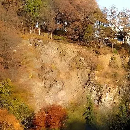 Im Sauerland Hillside 酒店 4*