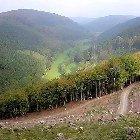 酒店 Im Sauerland Hillside 4*